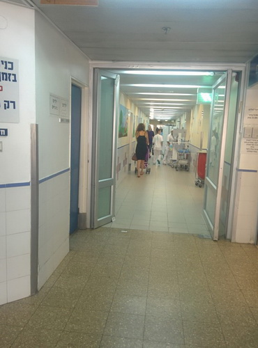 Структура больницы