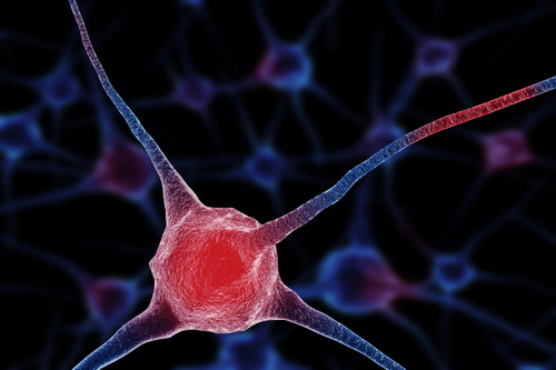 Лечение рака вульвы