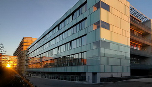 Основные медицинские направления