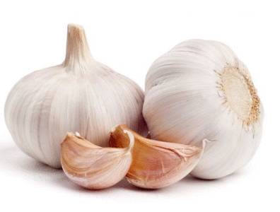 Чеснок и рак. Помогает ли чеснок против рака?