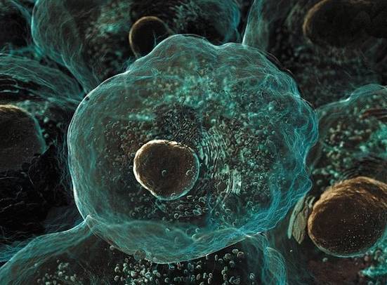 Фактор некроза опухоли альфа