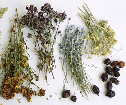 Иммунотерапия в онкологии: в чем польза?