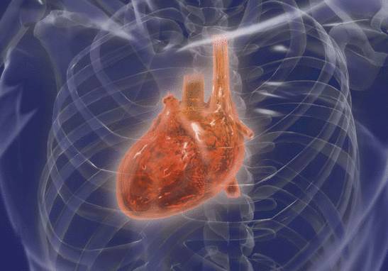 метастазы в сердце