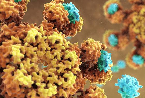 Развитие опухоли