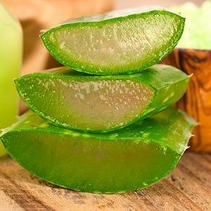 Как правильно использовать алоэ от грибка ногтей на ногах