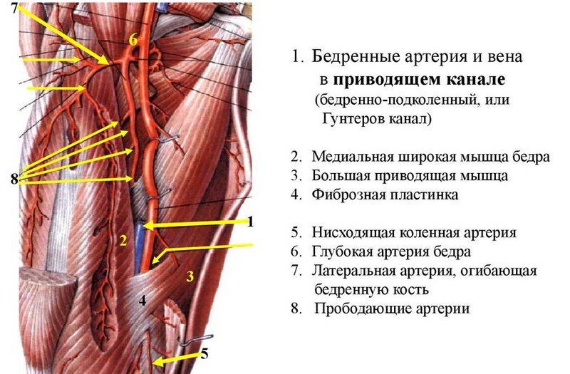 Как принимать аспирин при варикозном расширении вен нижних конечностей