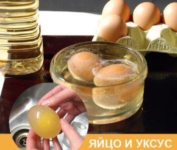 Делаем мазь для суставов из яйца и уксусной эссенции
