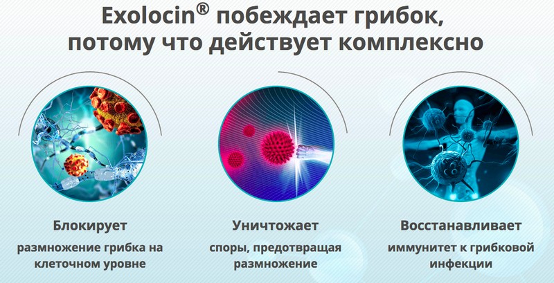 Инструкция по применению геля Экзолоцин от грибка ногтей