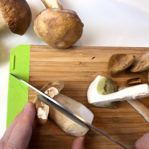 Какие грибы применяют для похудения: методы и их недостатки