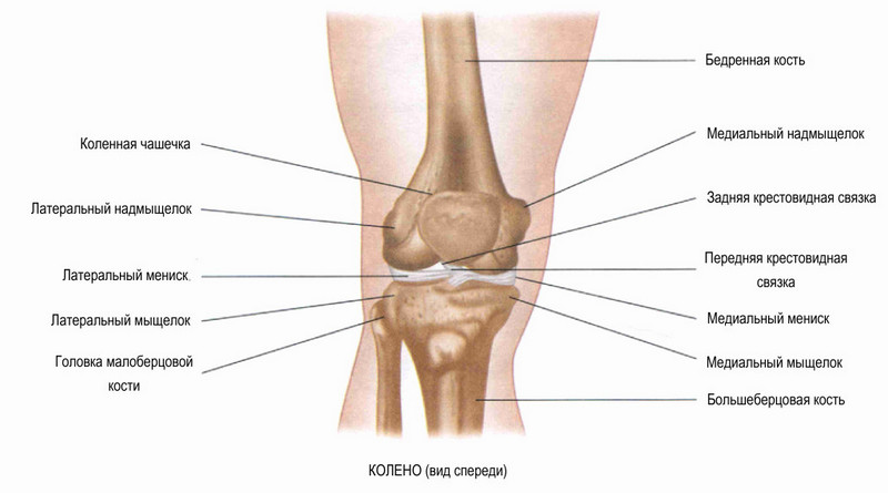 Как лечить перелом мыщелка большеберцовой кости