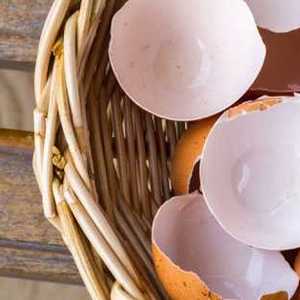 Как принимать яичную скорлупу для укрепления костей