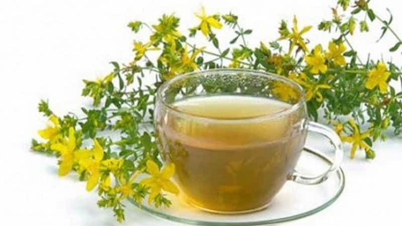 Как применять листья сенны для похудения