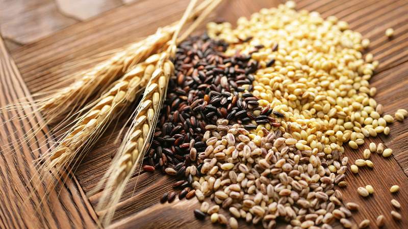 Какие крупы можно есть для похудения?