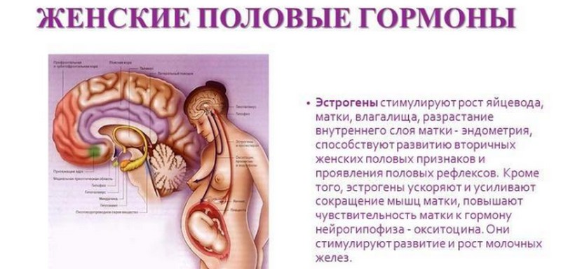 Противозачаточные таблетки при варикозном расширении вен