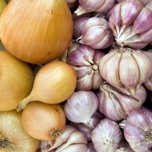 Новокаин от грибка ногтей на ногах: как правильно применять