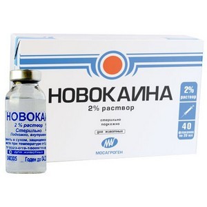 Новокаин от грибка ногтей на ногах: как правильно применять