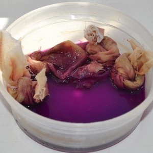 Лечение грибка ногтей раствором марганцовки