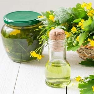 Масло чистотела от грибка ногтей: инструкция по применению