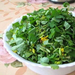 Масло чистотела от грибка ногтей: инструкция по применению