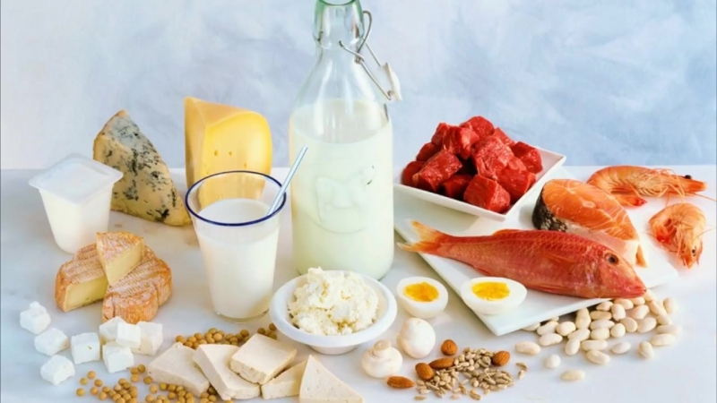 Меню белковой диеты для похудения