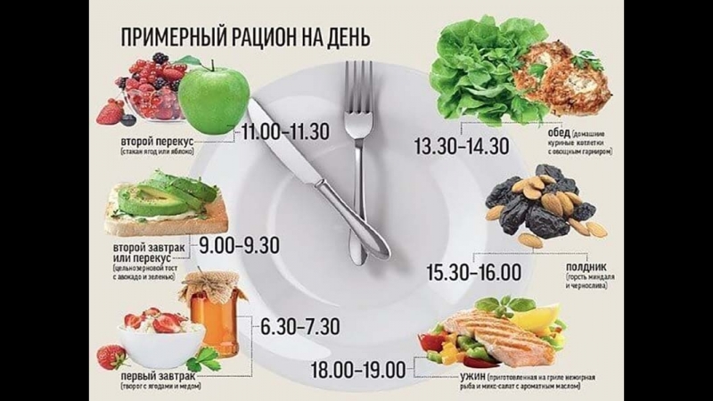 Метод правильного питания по времени для похудения