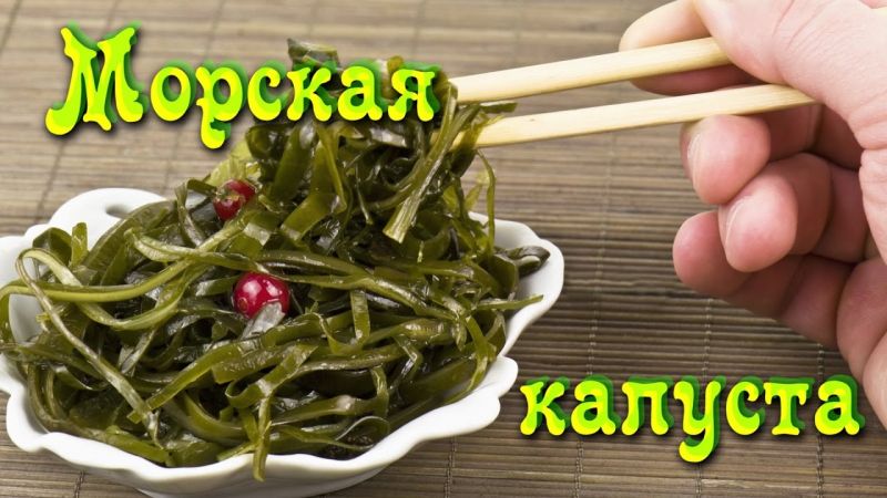 Можно ли есть морскую капусту при похудении