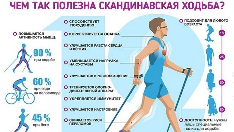Что такое скандинавская ходьба и зачем ходить с лыжными палками?