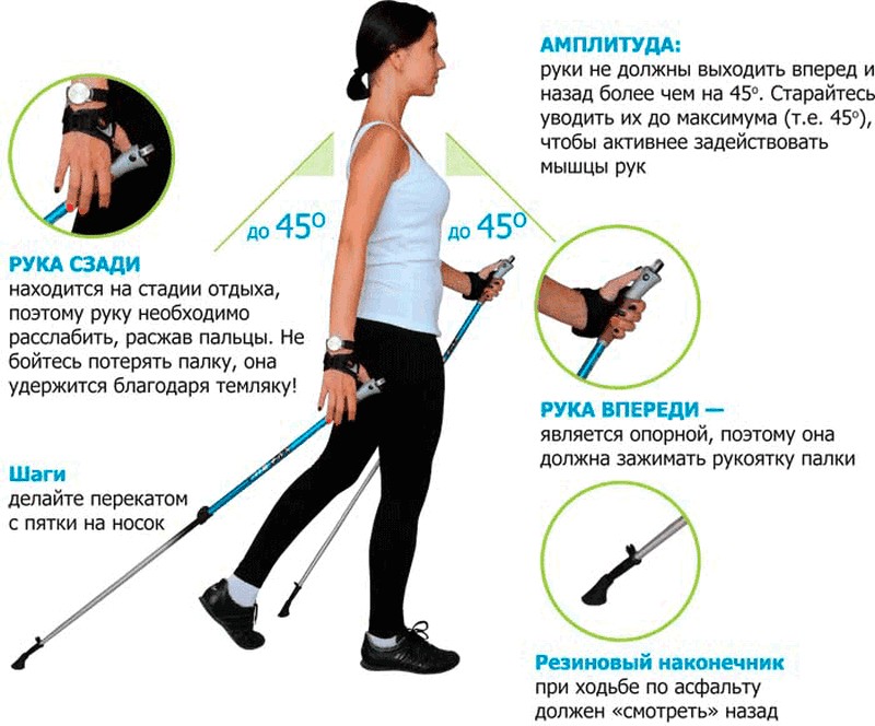 Что такое скандинавская ходьба и зачем ходить с лыжными палками?