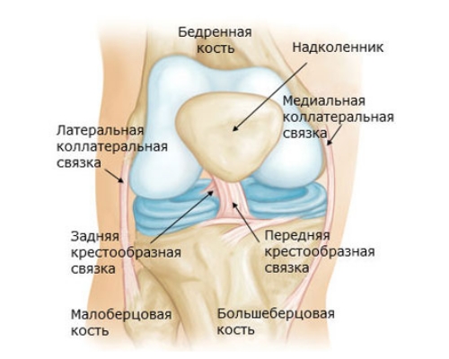 Как распознать растяжение связок коленного сустава: симптомы и лечение