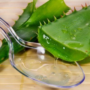 Как сделать скраб для применения перед и после шугаринга зоны бикини в домашних условиях