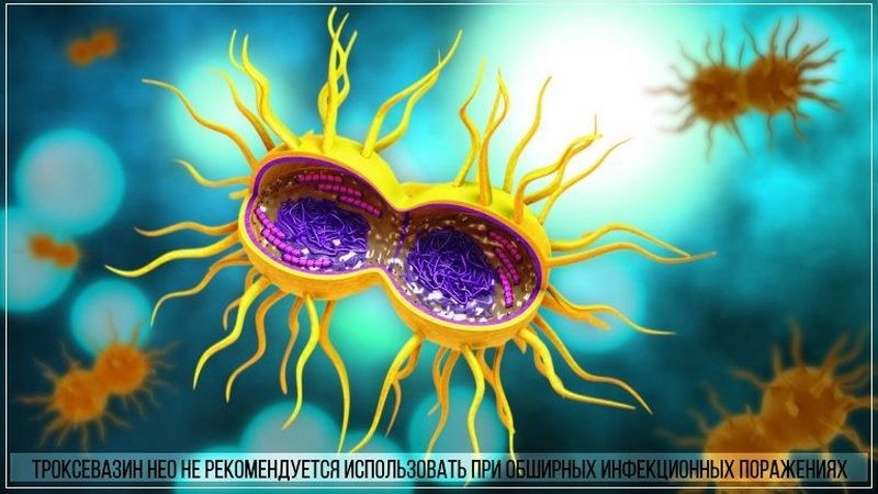 Гель Троксевазин нео: инструкция по применению