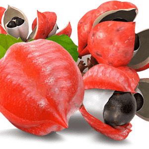 Реальные отзывы о применении жидкого каштана для похудения